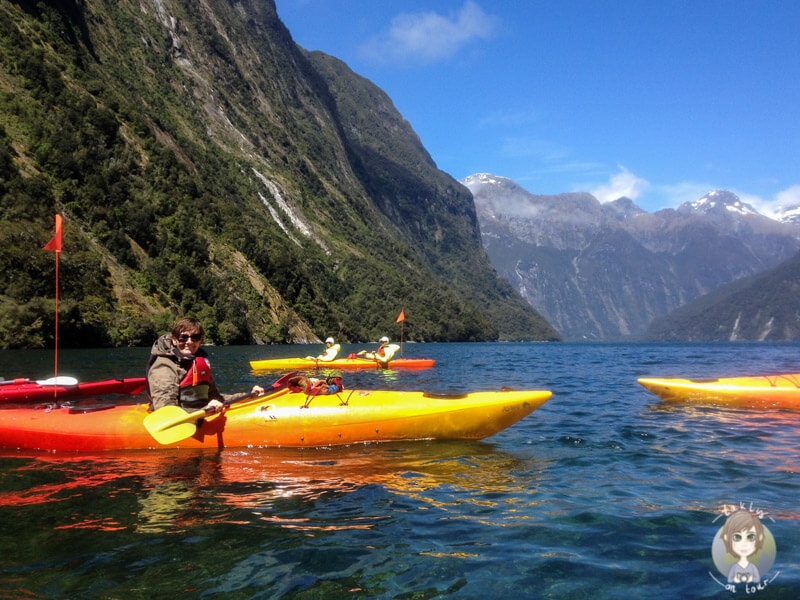 Ein Abenteuer in Neuseeland: Mit dem Kayak auf dem Milford Sound