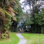 Weg zum Lake Mapourika, Neuseeland