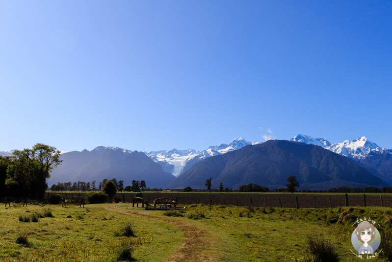 Peak Viewpoint in Fox Glacier