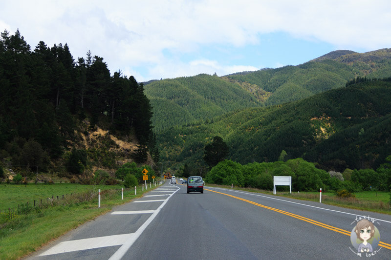 Fahrt durch Picton, Neuseeland