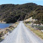 Richtung Cape Farwell, nach Puponga, Abel Tasman
