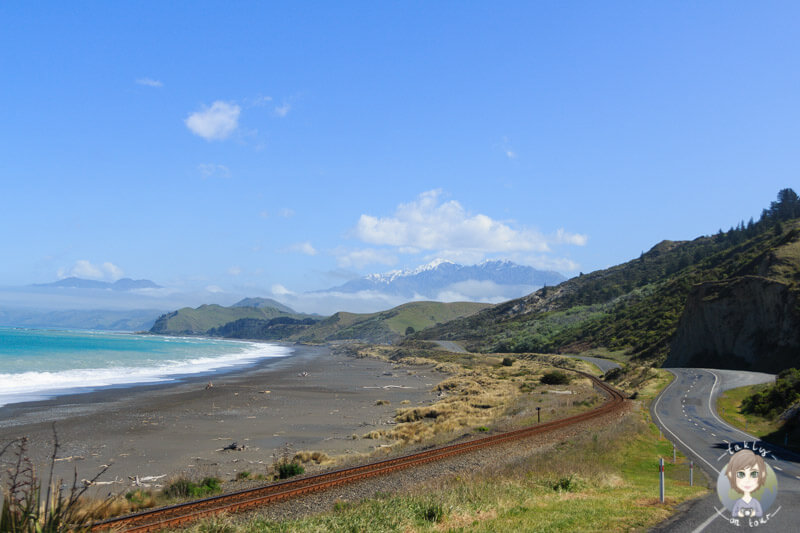 Neuseeland Südinsel, Küste in der Region Marlboroug