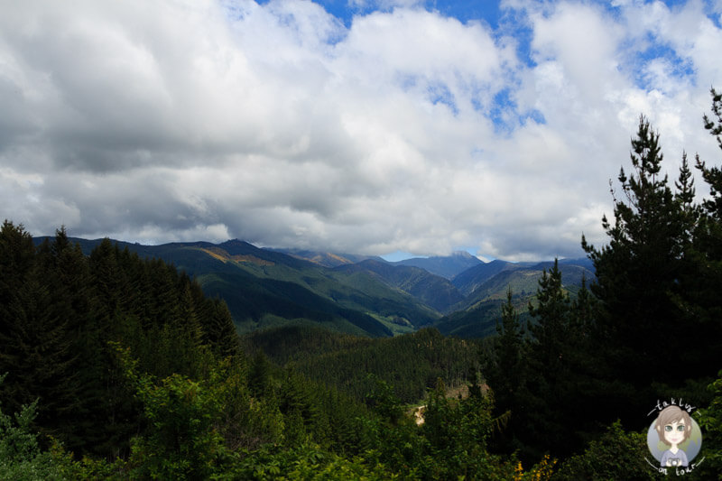 Sicht von dem Takaka Hill Highway, Neuseeland