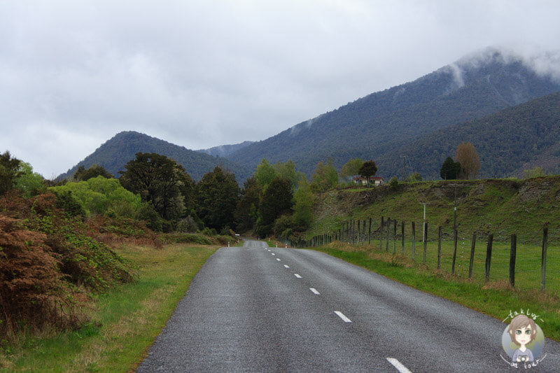 Gowan Valley Road zum Lake Rotoroa