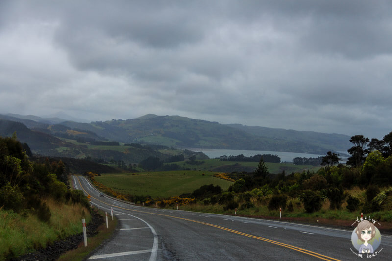 Fahrt Richtung Oamaru, Neuseeland