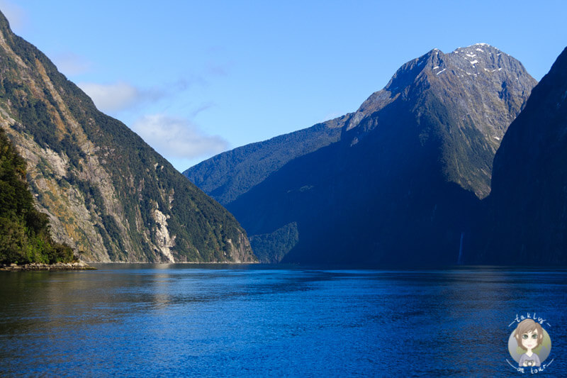 tolle Berglandschaft auf dem Milford Sound