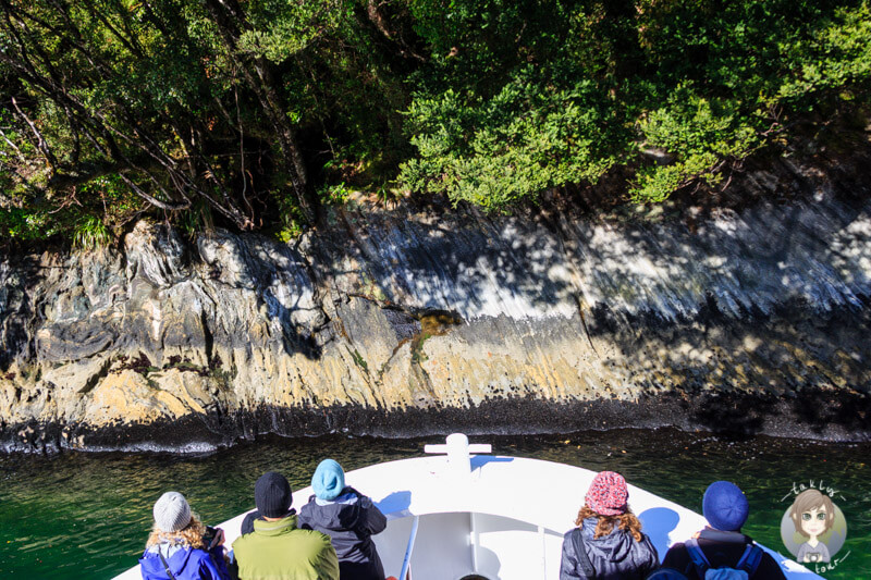 Interaktive Schiffstour auf dem Milford Sound