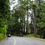 Fahrt durch den Stanley Park