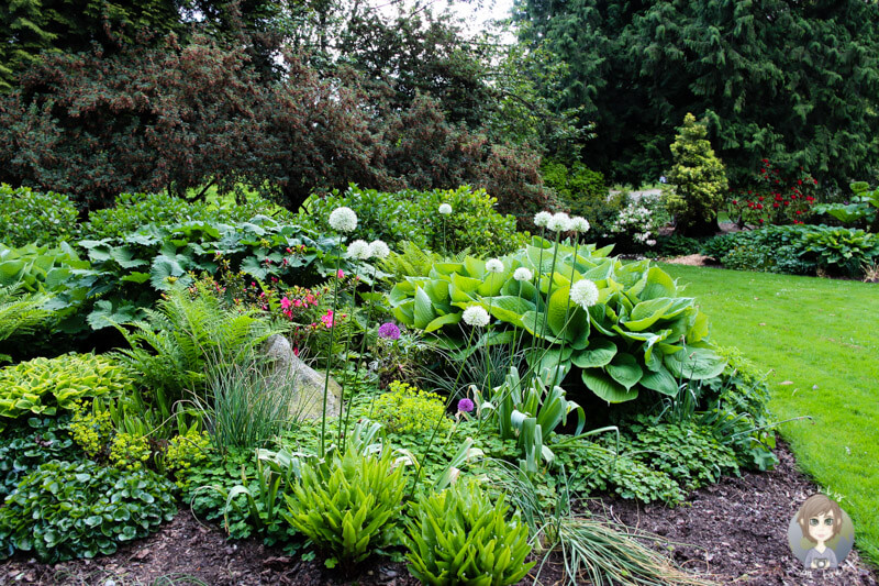 Blumen im Stanley Park, Vancouver