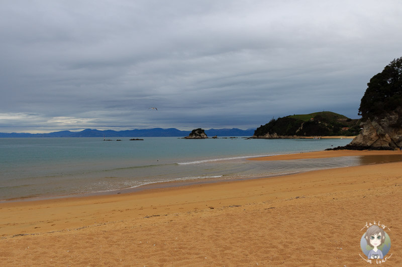 goldgelber Strand in Kaiteriteri