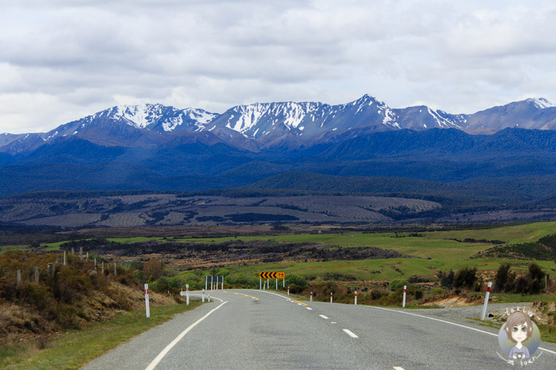 Fahrt von Te Anau zum Milford Sound