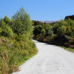 Schottereinfahrt des Twelve Mile Delta DOC Campingplatzes