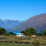 schöne Stellplätze auf dem Campingplatz Twelve Mile Delta am Lake Wakatipu