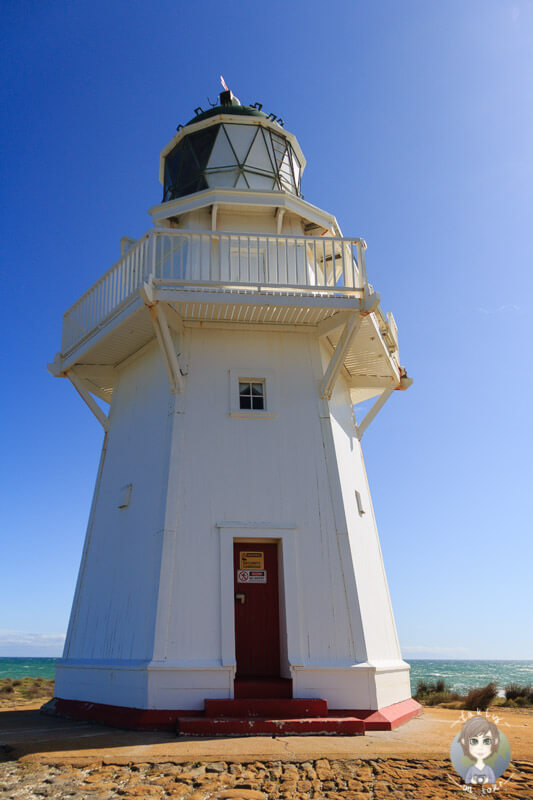 The Waipapa Point Lighthouse in the Catlins