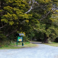 Walker Creek Campingplatz in der Nähe des Milford Sound