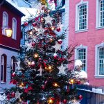 Ein geschmueckter Weihnachtsbaum in Monschau Eifel