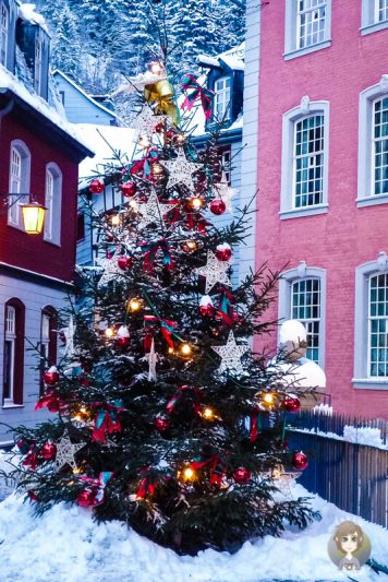 Ein geschmueckter Weihnachtsbaum in Monschau Eifel