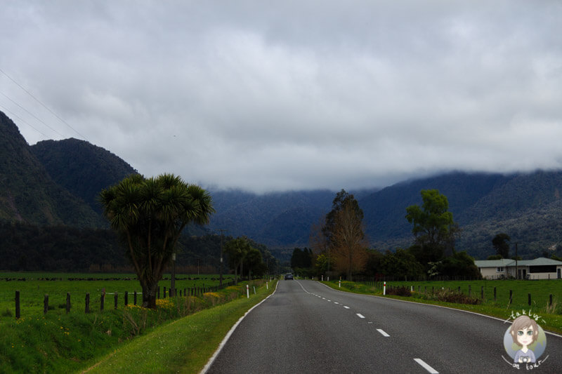 Fahrt Richtung Franz Josef, West Coast Neuseeland