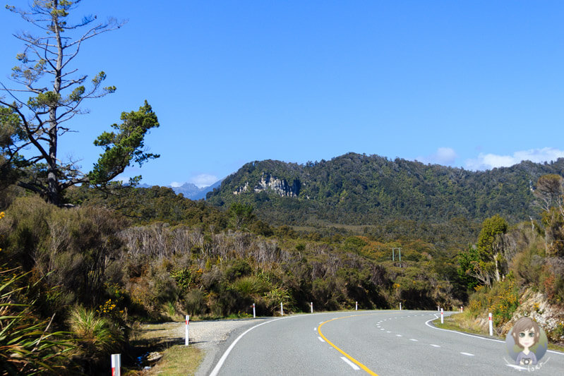 Fahrt entlang der West Coast, Neuseeland
