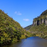 tolle Landschaft entlang der Westküste von Neuseeland