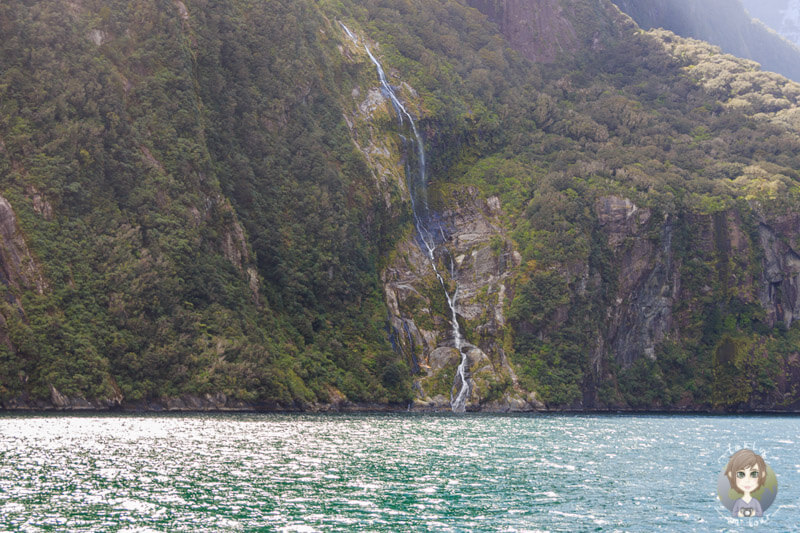 zahlreiche Wasserfälle auf dem Milford Sound in Neuseeland
