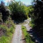 Einfahrt Little Stony Creek Freedom Campingplatz am Lake Wakatipu