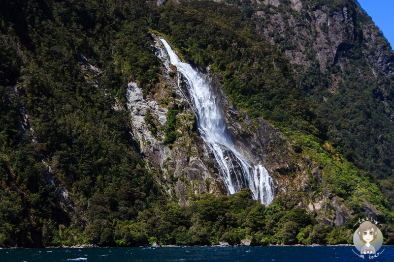 großer Wasserfall am Eingang des Milford Sounds