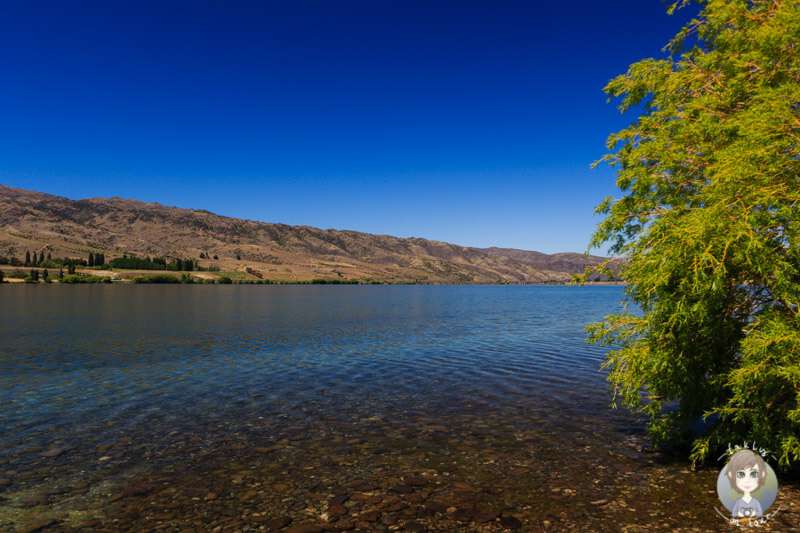 Lake Dunstan in Otago, Neuseeland