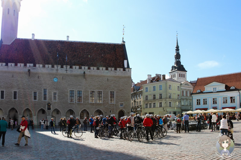 Radfahrer auf dem Rathausplatz von Tallinn