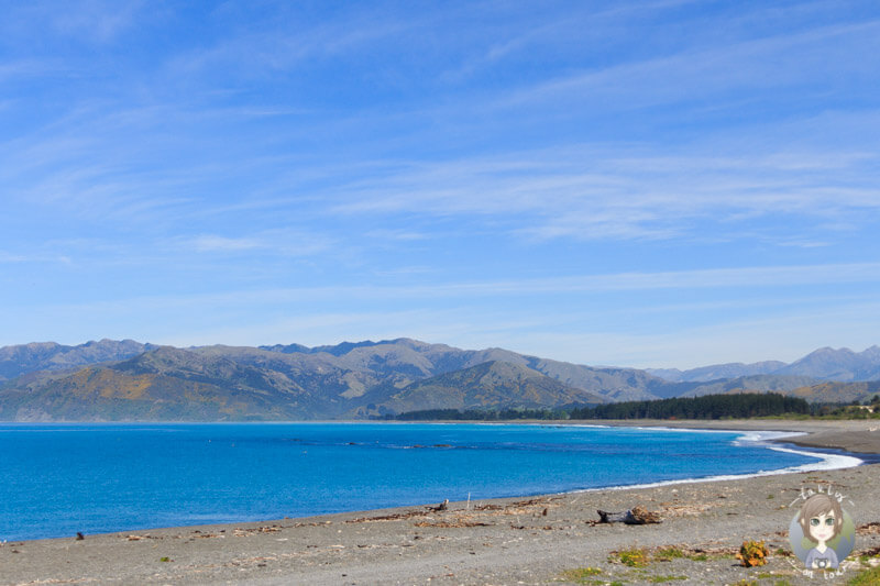 Das schöne Meer bei Kaikoura