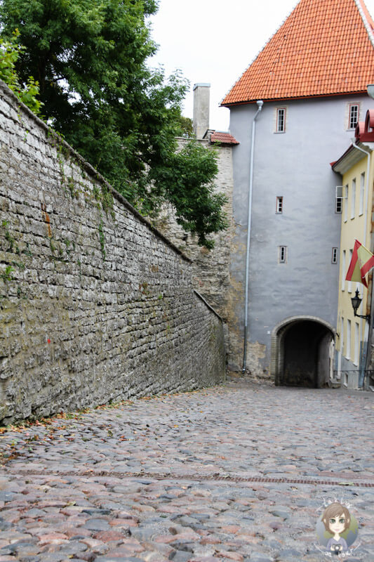 Pikk Jalg Gasse in Tallinn