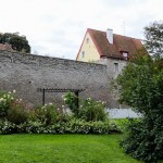 Die bepflanzte Stadtmauer, Tallinn