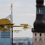 Wetterhahn in Tallinn