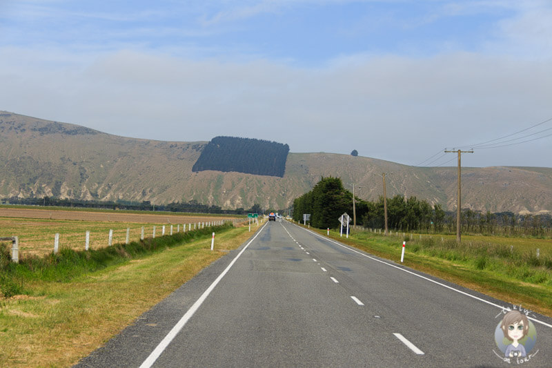 Fahrt über die Banks Peninsula Richtung Akaroa