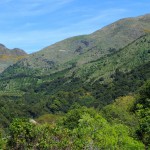 schöne Bergwelt am Highway 1 in Neuseeland
