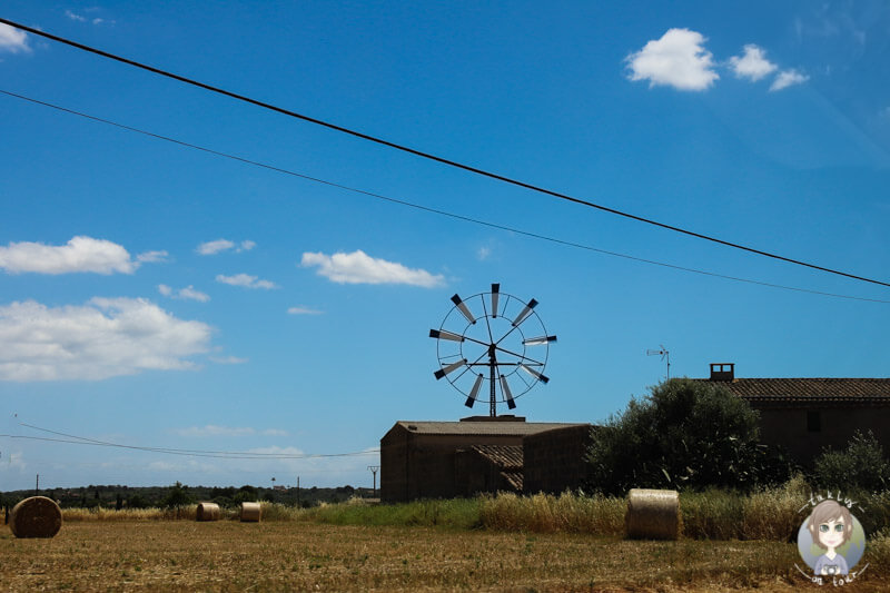 Eine Mühle auf Mallorca, eine typische Landschaft im Osten der Insel