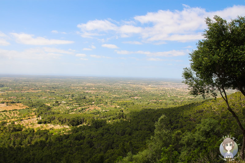 Aussicht auf den Puig de Randa auf Mallorca