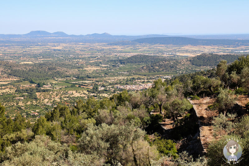 Tolle Aussicht auf Mallorca