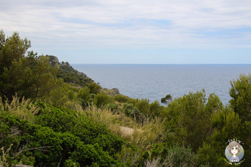 Die Aussicht auf die Steilküste vor Port de Sóller, Mallorca