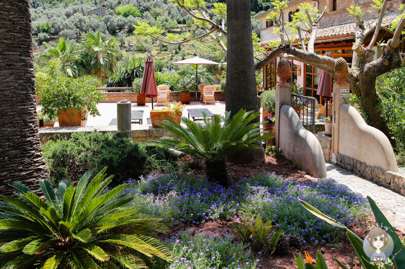 Der schöne Garten vom Gutshaus Son Breda, Mallorca