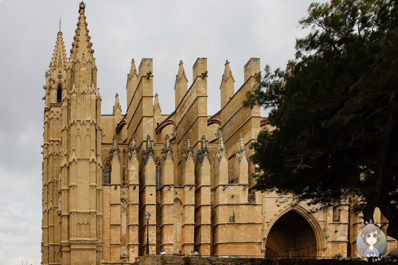 Die Kathedrale von Palma