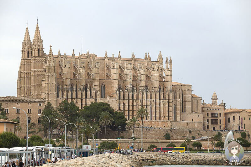 Blick auf die Kathedrale La Seu von Palma
