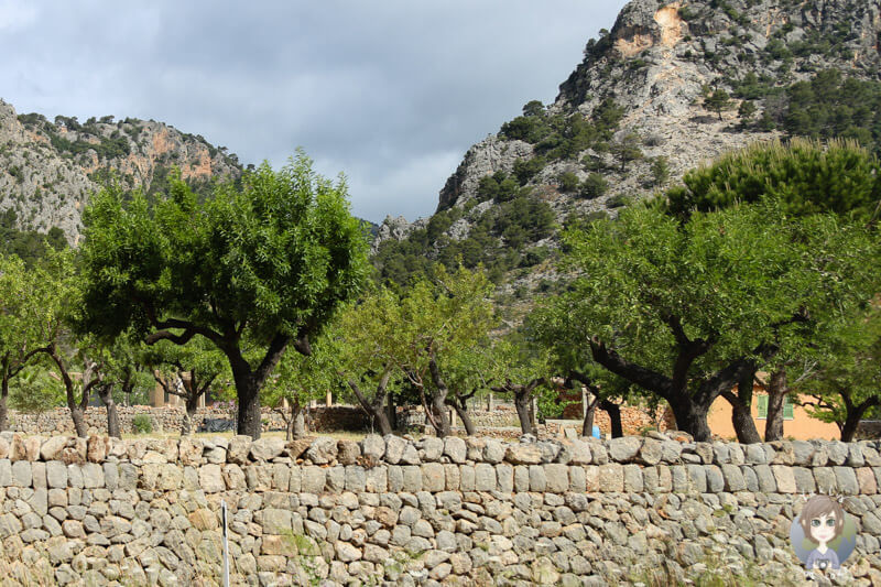 Eine tolle Landschaft auf Mallorca