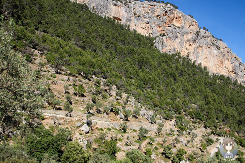 Eine tolle Berglandschaft über Alaró