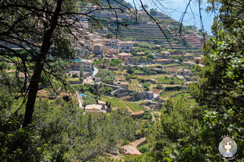 Blick auf terrassenförmig angeordnete Dorf Banyalbufar, Mallorca