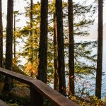 Der Weg zum Overlook im Porteau Cove Provincial Park