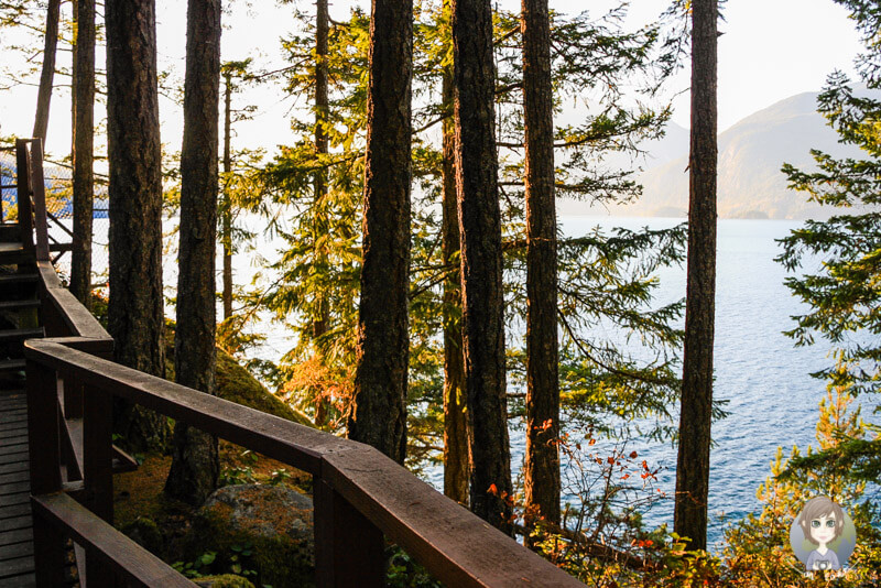 Der Weg zum Overlook im Porteau Cove Provincial Park