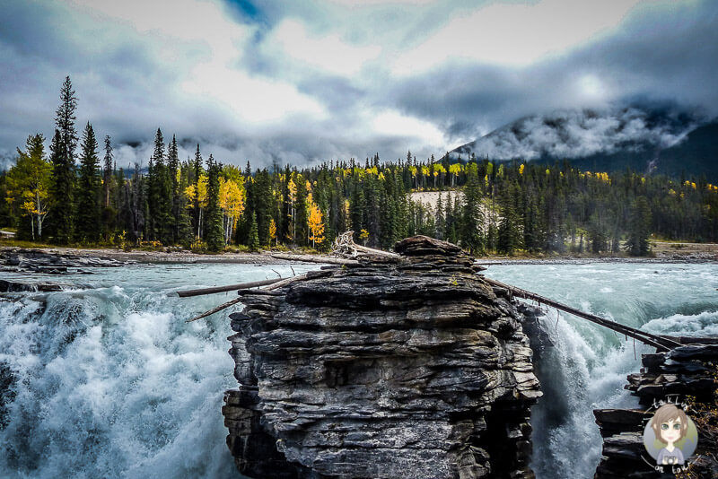 Die Athabasca Falls, Jasper National Park, Kanada (c)taklyontour