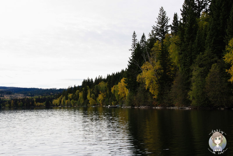 Der wunderschöne Birch Lake, Kanada