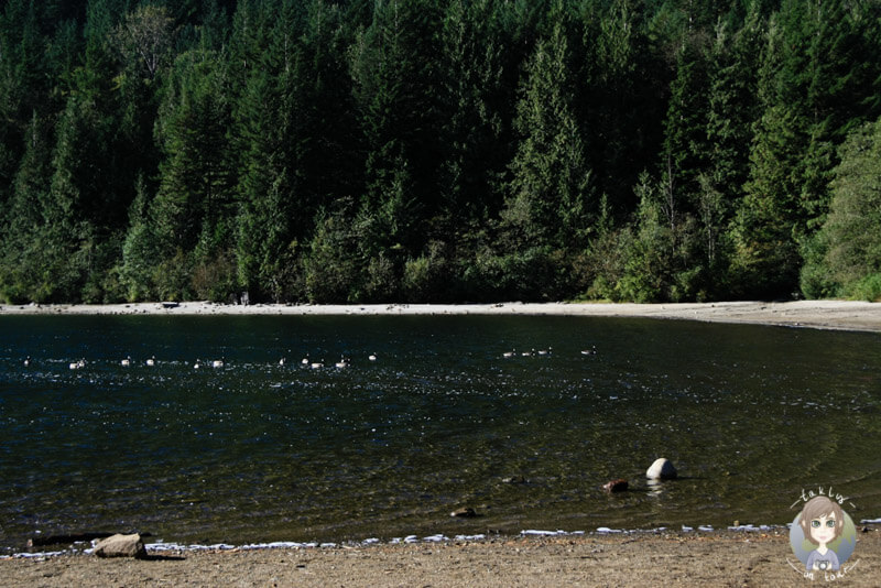 Der Blick vom Campingplatz auf den Hicks Lake